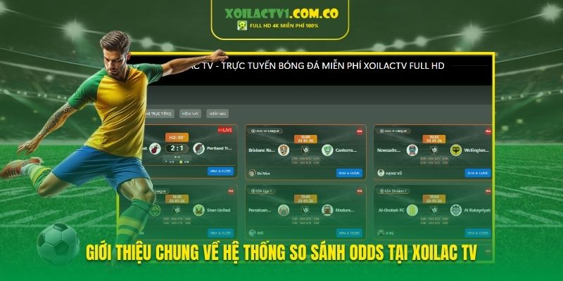 Giới thiệu chung về hệ thống so sánh Odds tại XoilacTV