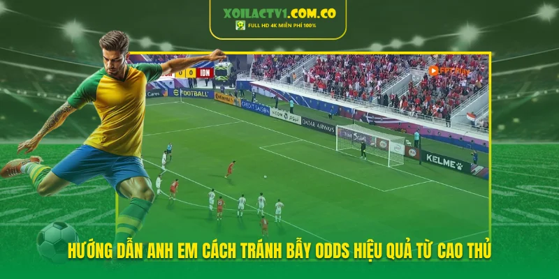 Hướng dẫn anh em cách tránh bẫy Odds hiệu quả từ cao thủ Hướng dẫn anh em cách tránh bẫy Odds hiệu quả từ cao thủ