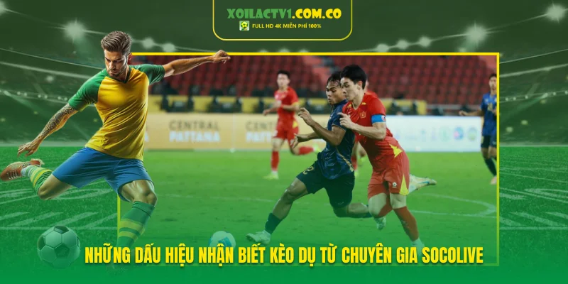 Những dấu hiệu nhận biết kèo dụ từ chuyên gia Socolive Những dấu hiệu nhận biết kèo dụ từ chuyên gia Socolive