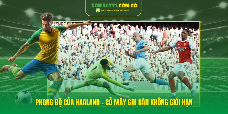 Phong độ của Haaland - Cỗ máy ghi bàn không giới hạn Phong độ của Haaland - Cỗ máy ghi bàn không giới hạn